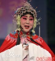 梨园子弟,张晓凤简介